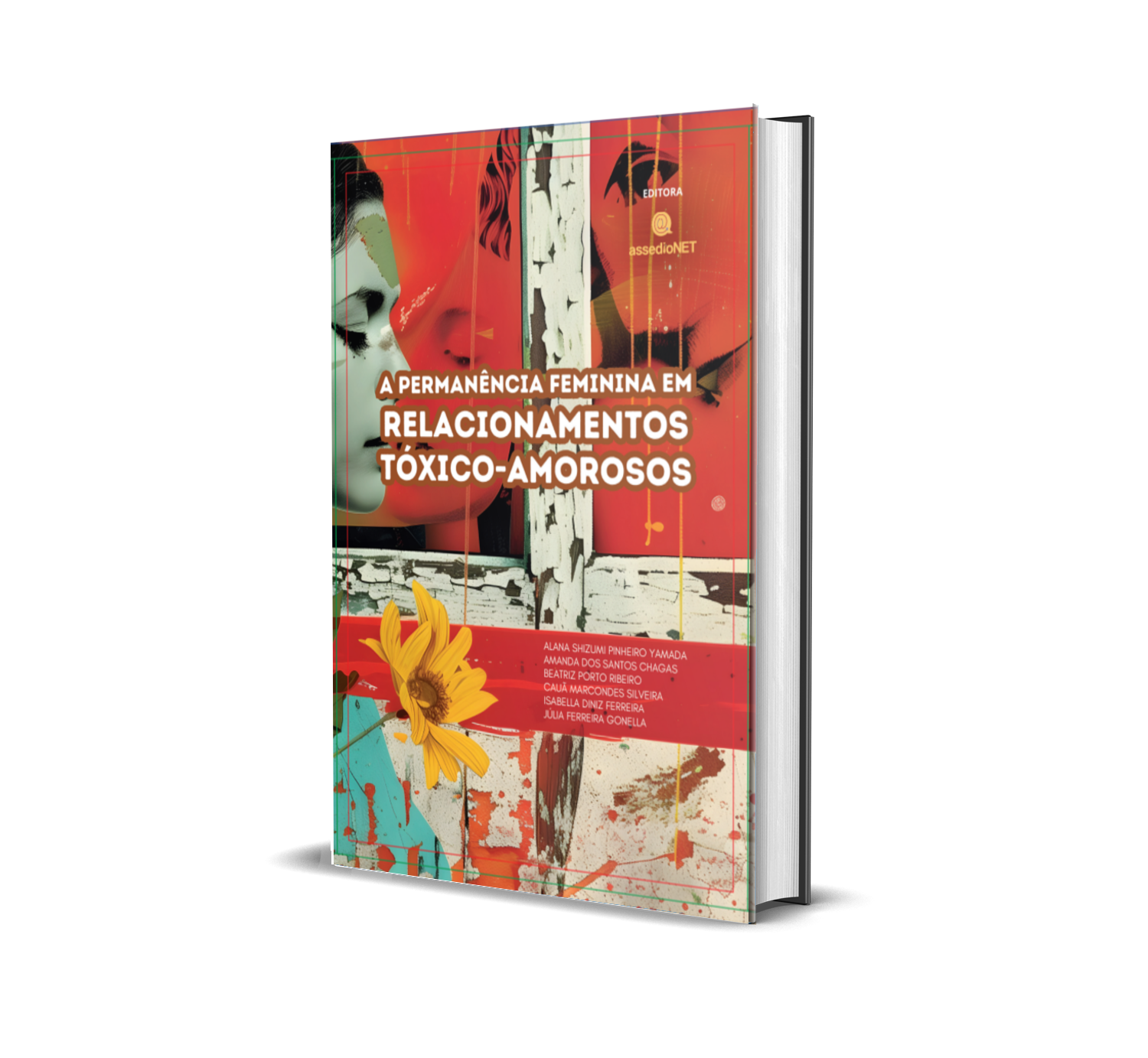 Capa do livro A Permanência Feminina em Relacionamentos Tóxico-Amorosos